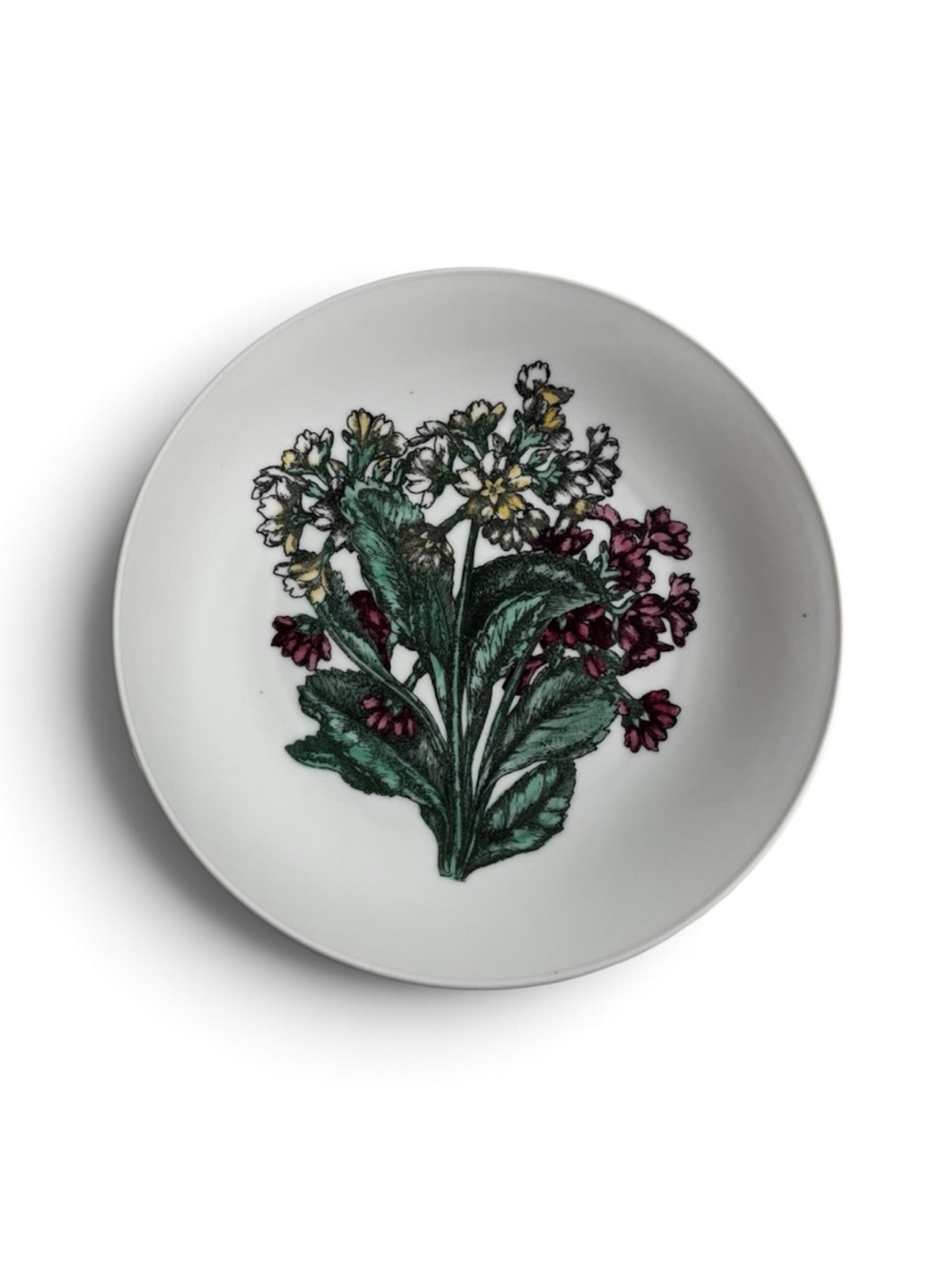 Fornasetti Milano Fiori No. 4 Porcelain Plate, Green & Pink Botanical, 1970.